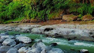 Landscape of a mountain river Relaxing Water Sounds, Stream Sounds, White Noise for Sleep, Study