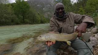 SLO-FLY.COM Fly fishing Slovenia. Marble trout on dry fly.