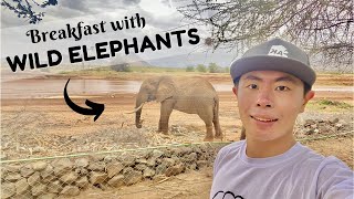 SAMBURU NATIONAL RESERVE | Best Breakfast View EVER!! (ULTIMATE KENYA SAFARI Vlog Ep 2)