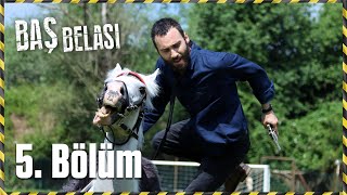 Baş Belası 5. Bölüm