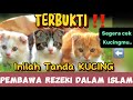 TERBUKTI‼️PASTI ADA TANDA INI PADA KUCINGMU‼️INILAH TANDA KUCING PEMBAWA REZEKI MENURUT ISLAM‼️