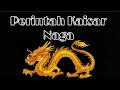 Perintah Kaisar Naga 3666, 3667, 3668, Apakah Aku Akan Melepaskanmu? Kata Chen Ping!!!