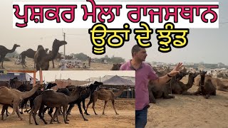 ਪੁਸ਼ਕਰ ਮੇਲਾ ਰਾਜਸਥਾਨ,,ਆਜੋ ਦੇਖੀਏ ਨਜ਼ਾਰੇ |Harbhej Sidhu|Pushkar mela Rajasthan |Shonki sardar |