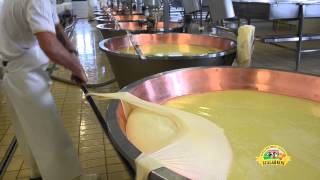 Ciclo produttivo del Parmigiano Reggiano