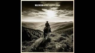 Willie Nelson - The Fly Boy & The Kid