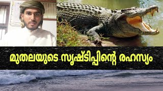 #മുതല #crocodile മുതലയുടെ സൃഷ്ടിപ്പിന്റെ രഹസ്യം അൽഭുതപ്പെടുത്തുന്ന സത്യം