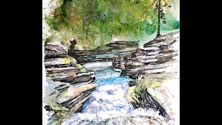 Bubbly Stream in the Woods-Pen, Ink and Watercolor painting on Posterboard paper