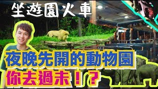 夜晚先開嘅動物園你去過未？坐遊園火車 夜遊新加坡夜間動物園 【#祖遊新加坡🇸🇬】