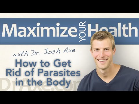 How to Get Rid of Parasites in the Body Naturally How to Get Rid of Parasites in the Body Naturally