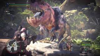 ［MHW] vsアンジャナフ　ヘビーボウガン