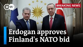 What keeps Erdogan from approving Sweden’s NATO application? | DW News