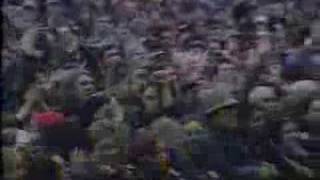 The Seahorses - Love is the Law Glastonbury 1997