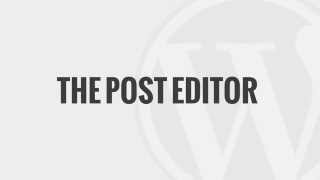 WordPress 101: The Post Editor
