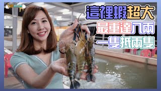 【釣蝦小益思】這裡的蝦子超級大  最重有達八兩  每次都像雙弓  #釣蝦 #i呀我的蛋 #新聞 #主播 Shrimpfishing  エビ釣り  새우 낚시