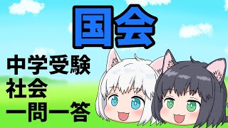 【中学受験/社会】国会の一問一答【ゆっくり解説】