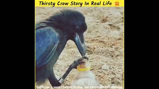 प्यासा कौआ कि कहानी 🐦 | Thirsty Crow Story In Real Life 😭 | #facts #insaniyat #shorts #short