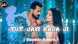 Tut Jayi Raja Ji | Lofi | Slowed+Reverb | TikTok Vairal Song | SHAKIL BRO | New Bhojpuri Song 2024