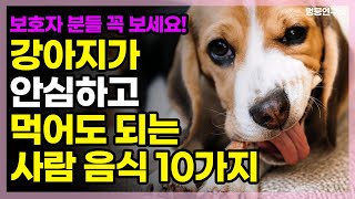 반려견도 걱정 없이 먹어도 되는 사람 음식 10가지 | 강아지 음식, 강아지 사료, 강아지 언어, 강아지 습성 |