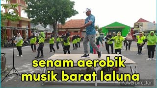 senam aerobik gerakan mudah diikuti musik laluna