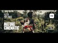 Nature Cinematic Look — Color Grading Filter For VN Editor | LUT for Premiere, Final Cut, Davinci