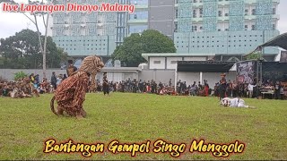 Bantengan Gempol Singo Menggolo live Lapangan Dinoyo Malang