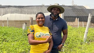 How A Young Civil Engineer Became A Millionaire Vegetable Farmer In Ghana | Details Shared