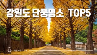 [국내여행] 강원도 단풍 명소 TOP5✨ | 가을여행지 추천