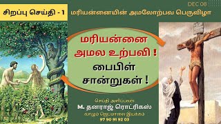 Special Message - 1: மரியன்னையின் அமல உற்பவம் பைபிளில் எங்கே உள்ளது?