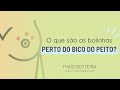 O que são as bolinhas perto do bico do peito