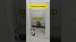 不同学生在学校蹲坑 #猫meme #funny #喵不可言 #cat #喵 #喵星人 #学校 #校园 #猫meme小剧场 #shorts