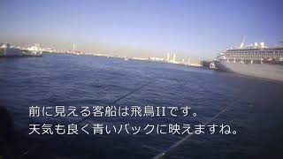 2019-11-23_みなとみらい水中画像