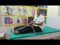 ये एक्सरसाइज करें ओर घूटनों के दर्द से छुटकारा पाएं। knee pain relief exercises । योगाचार्य बजरंग ।