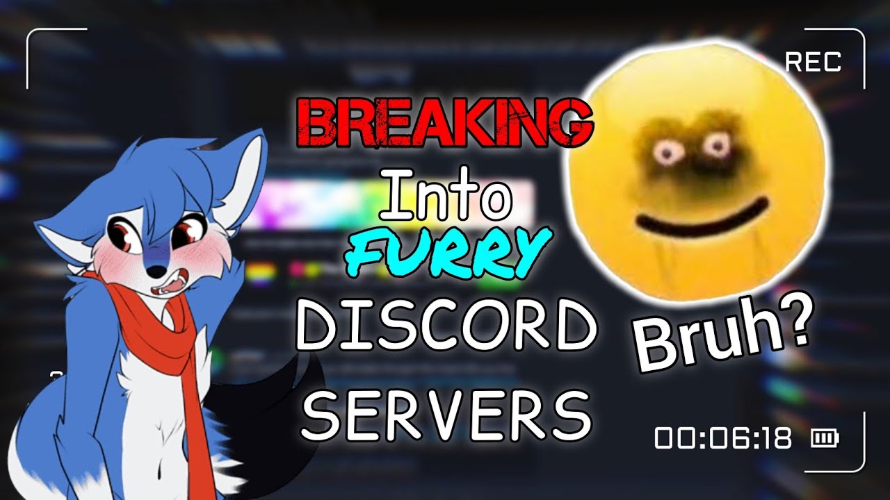 BREAKING INTO FURRY DISCORD SERVERS - YouTube