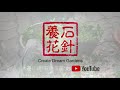 杜鹃花的扦插简介和示范（增加了字幕和翻译）