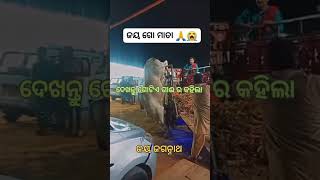 ଯେତେ ତୁ ପାରୁଛୁ ଦେରେ ଦୁଃଖ କାଳିଆର କାଳିଆର #subscribe #odia #trending #trendingshorts ❤️🙏😃