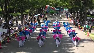 妃龍〔原宿表参道元氣祭スーパーよさこい２日目　ＮＨＫ前ストリート 20240825〕NHK前ストリート