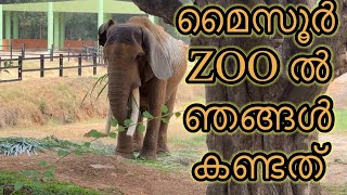 ZOO| മൈസൂർnight‌ ട്രിപ്പ്‌ |#mysore #mysorezoo #malayalam#vlogging #videos#youtube#@SeraAneesiya