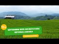 Decreto para reforma agraria - TvAgro por Juan Gonzalo Angel Restrepo