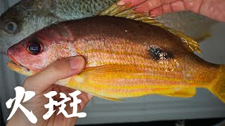 從動物農場到餐桌 用魚湯麵 乾熟銀雞魚招待農場主人 | 宜蘭親子旅遊的好去處。