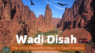 Tabuk Region Episode 1: Wadi Ad Disah, Saudi Arabia | وادي الديسة في تبوك مملكة السعودية العربية