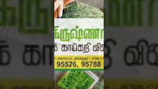 தரமான நாட்டு விதைகள் எங்கு வாங்கலாம் | Best Place to Buy all Garden Items and Seeds #seeds #shorts