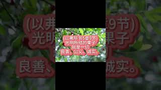 (以弗所书5章9节)2025年1月9日星期四#shorts  #基督徒 #基督教 #教會 #福音 #圣经 #聖經 #教会学校#每日背一节经文#以弗所书