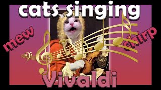 Vivaldi 4 Seasons -MEOWED BY CATS