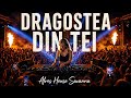 Dragostea Din Tei 🌴 Afro House Savanna Remix 2026 | Summer Festival Vibes