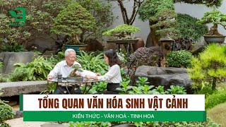 Tổng Quan Văn Hóa Sinh Vật Cảnh Việt Nam | Nhà nghiên cứu SVC Việt Nam Lê Quang Khang