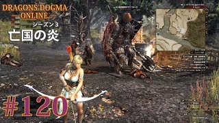 #120【DDON】ラスニテ山麓　試練：捕虜奪還／解放軍支援（亡国の炎：ドラゴンズドグマオンライン／シーズン３）【PS4】