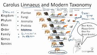 13.1.2 Carolus Linnaeus and Modern Taxonomy