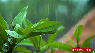 ILAIYARAAJA RAIN WHATSAPP STATUS |#ilayaraja #tamilmelody #rainy #fullscreen