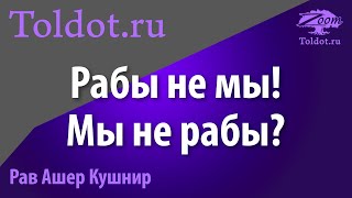 Рабы не мы! Мы не рабы? Как выйти из собственного рабства? Рав Ашер Кушнир