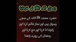 collection of Urdu hadith || hadees e mubarak || best collection